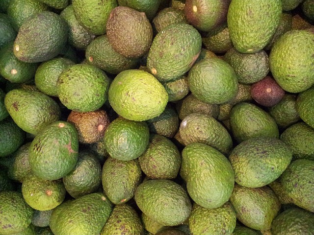 Fra traditionel til eksperimenterende: 5 innovative opskrifter på guacamole