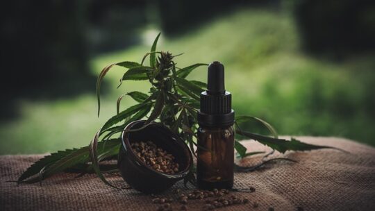 Superfoods: Hvad er op og ned?